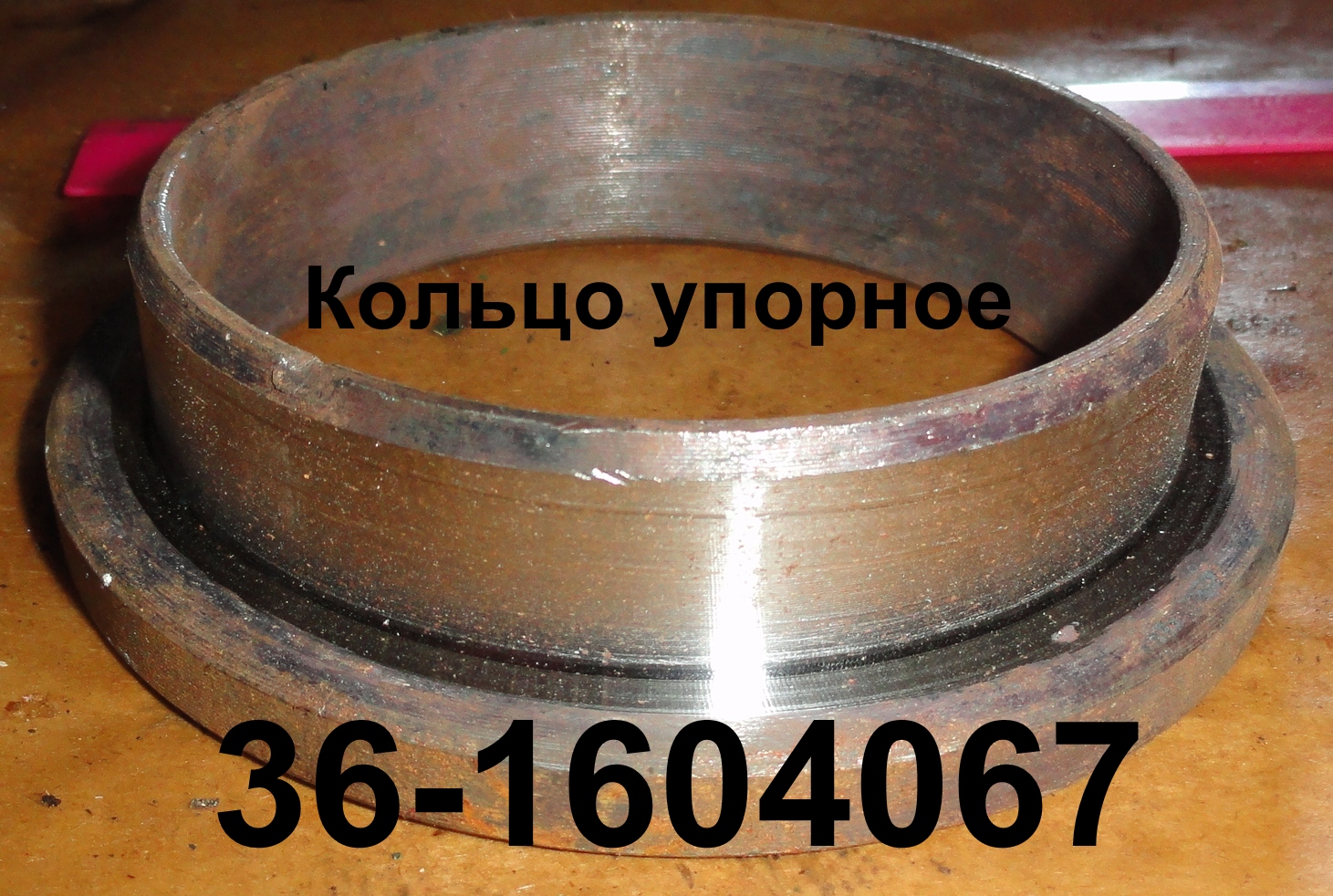 КОЛЬЦО 36-1604067 УПОРНОЕ